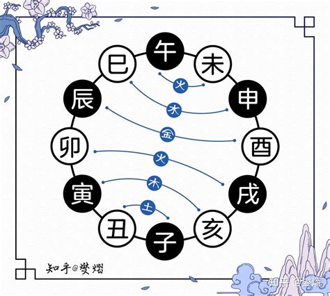 地支 合|地支